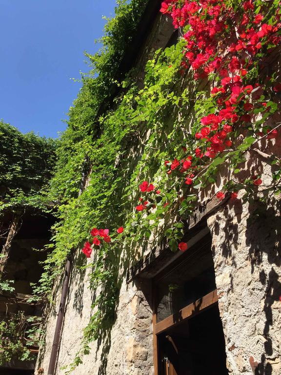 Domus Laeta Villa Giungano Bagian luar foto